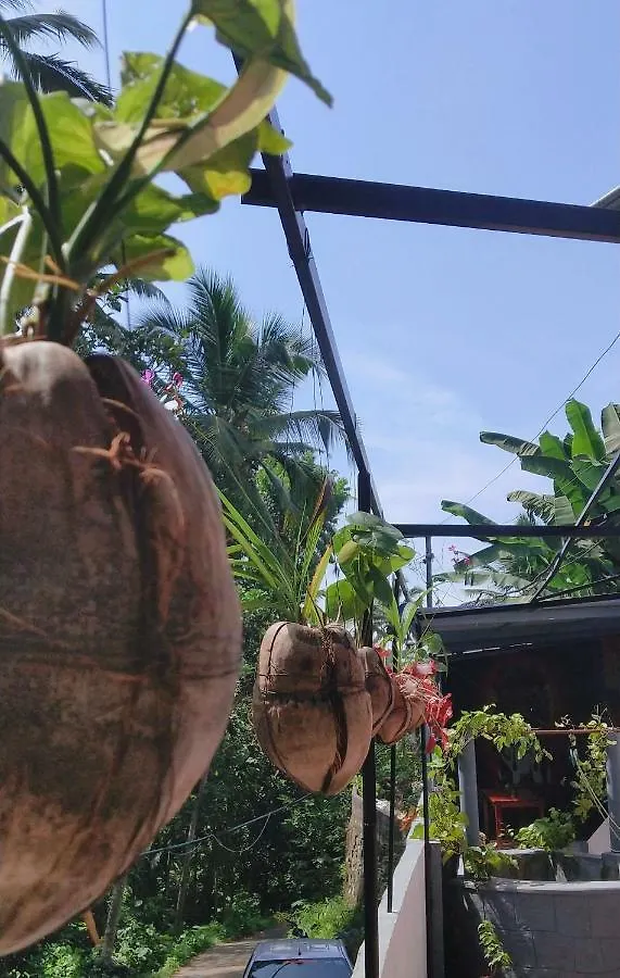 The Banyan Hut Apartment Thiruvananthapuram